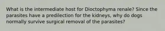 What is the intermediate host for Dioctophyma renale? Since the parasites have a predilection for the kidneys, why do dogs normally survive surgical removal of the parasites?