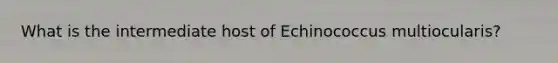 What is the intermediate host of Echinococcus multiocularis?