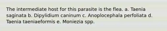 The intermediate host for this parasite is the flea. a. Taenia saginata b. Dipylidium caninum c. Anoplocephala perfoliata d. Taenia taeniaeformis e. Moniezia spp.