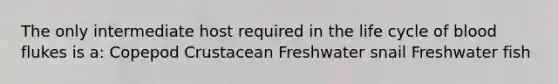 The only intermediate host required in the life cycle of blood flukes is a: Copepod Crustacean Freshwater snail Freshwater fish