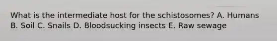 What is the intermediate host for the schistosomes? A. Humans B. Soil C. Snails D. Bloodsucking insects E. Raw sewage