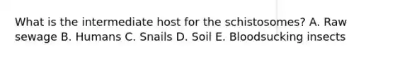 What is the intermediate host for the schistosomes? A. Raw sewage B. Humans C. Snails D. Soil E. Bloodsucking insects