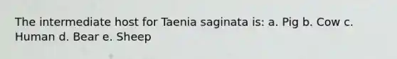 The intermediate host for Taenia saginata is: a. Pig b. Cow c. Human d. Bear e. Sheep