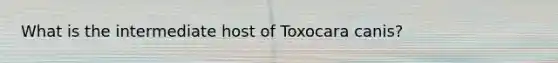 What is the intermediate host of Toxocara canis?