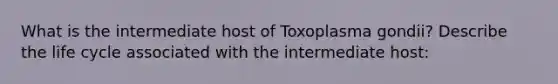 What is the intermediate host of Toxoplasma gondii? Describe the life cycle associated with the intermediate host: