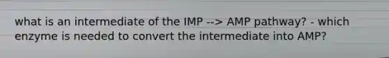 what is an intermediate of the IMP --> AMP pathway? - which enzyme is needed to convert the intermediate into AMP?