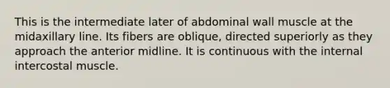 This is the intermediate later of abdominal wall muscle at the midaxillary line. Its fibers are oblique, directed superiorly as they approach the anterior midline. It is continuous with the internal intercostal muscle.