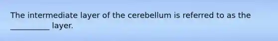 The intermediate layer of the cerebellum is referred to as the __________ layer.