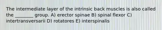 The intermediate layer of the intrinsic back muscles is also called the ________ group. A) erector spinae B) spinal flexor C) intertransversarii D) rotatores E) interspinalis