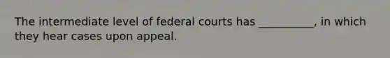 The intermediate level of <a href='https://www.questionai.com/knowledge/kzzdxYQ4u6-federal-courts' class='anchor-knowledge'>federal courts</a> has __________, in which they hear cases upon appeal.