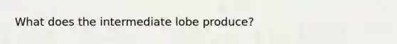 What does the intermediate lobe produce?