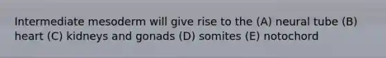 Intermediate mesoderm will give rise to the (A) neural tube (B) heart (C) kidneys and gonads (D) somites (E) notochord