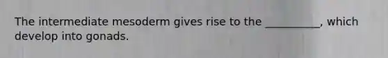 The intermediate mesoderm gives rise to the __________, which develop into gonads.