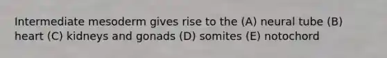 Intermediate mesoderm gives rise to the (A) neural tube (B) heart (C) kidneys and gonads (D) somites (E) notochord