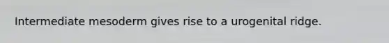 Intermediate mesoderm gives rise to a urogenital ridge.