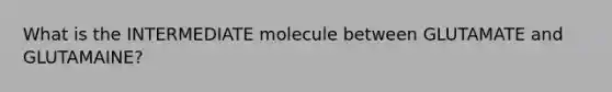 What is the INTERMEDIATE molecule between GLUTAMATE and GLUTAMAINE?