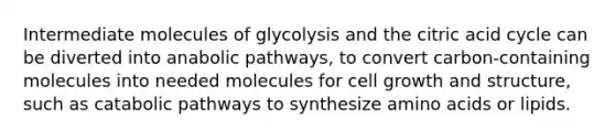 Intermediate molecules of glycolysis and the citric acid cycle can be diverted into anabolic pathways, to convert carbon-containing molecules into needed molecules for cell growth and structure, such as catabolic pathways to synthesize amino acids or lipids.