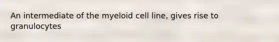 An intermediate of the myeloid cell line, gives rise to granulocytes