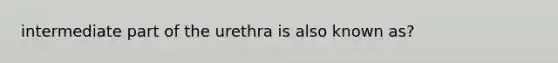 intermediate part of the urethra is also known as?