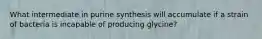 What intermediate in purine synthesis will accumulate if a strain of bacteria is incapable of producing glycine?