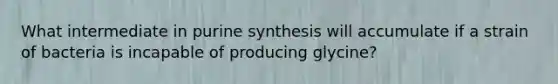 What intermediate in purine synthesis will accumulate if a strain of bacteria is incapable of producing glycine?