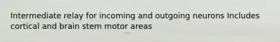 Intermediate relay for incoming and outgoing neurons Includes cortical and brain stem motor areas