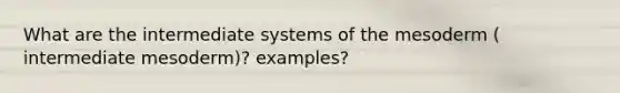 What are the intermediate systems of the mesoderm ( intermediate mesoderm)? examples?