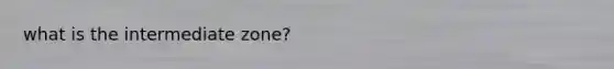 what is the intermediate zone?
