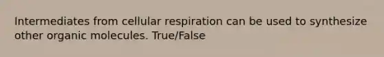 Intermediates from cellular respiration can be used to synthesize other organic molecules. True/False