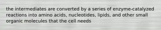 the intermediates are converted by a series of enzyme-catalyzed reactions into amino acids, nucleotides, lipids, and other small organic molecules that the cell needs