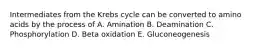 Intermediates from the Krebs cycle can be converted to amino acids by the process of A. Amination B. Deamination C. Phosphorylation D. Beta oxidation E. Gluconeogenesis