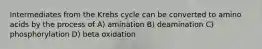 Intermediates from the Krebs cycle can be converted to amino acids by the process of A) amination B) deamination C) phosphorylation D) beta oxidation