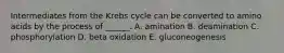 Intermediates from the Krebs cycle can be converted to amino acids by the process of ______. A. amination B. deamination C. phosphorylation D. beta oxidation E. gluconeogenesis