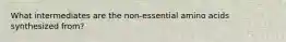 What intermediates are the non-essential amino acids synthesized from?