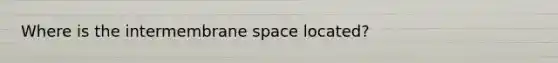 Where is the intermembrane space located?