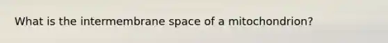 What is the intermembrane space of a mitochondrion?