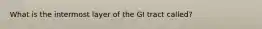 What is the intermost layer of the GI tract called?