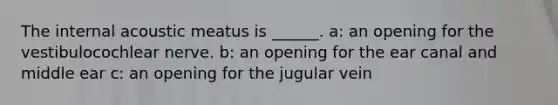 The internal acoustic meatus is ______. a: an opening for the vestibulocochlear nerve. b: an opening for the ear canal and middle ear c: an opening for the jugular vein