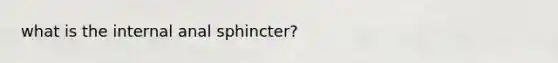 what is the internal anal sphincter?