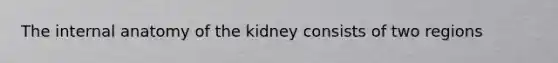 The internal anatomy of the kidney consists of two regions