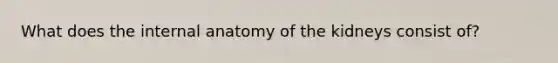 What does the internal anatomy of the kidneys consist of?