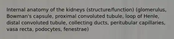 Internal anatomy of the kidneys (structure/function) (glomerulus, Bowman's capsule, proximal convoluted tubule, loop of Henle, distal convoluted tubule, collecting ducts, peritubular capillaries, vasa recta, podocytes, fenestrae)