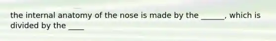 the internal anatomy of the nose is made by the ______, which is divided by the ____