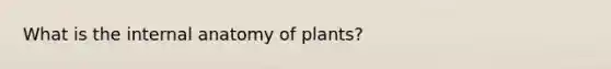 What is the internal anatomy of plants?