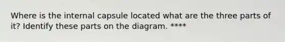 Where is the internal capsule located what are the three parts of it? Identify these parts on the diagram. ****