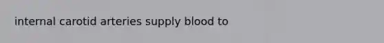 internal carotid arteries supply blood to