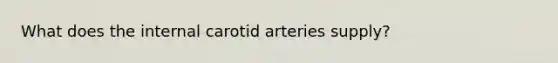 What does the internal carotid arteries supply?