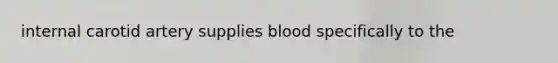 internal carotid artery supplies blood specifically to the