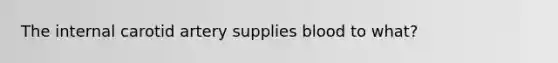 The internal carotid artery supplies blood to what?