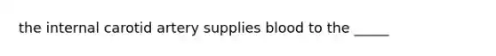 the internal carotid artery supplies blood to the _____